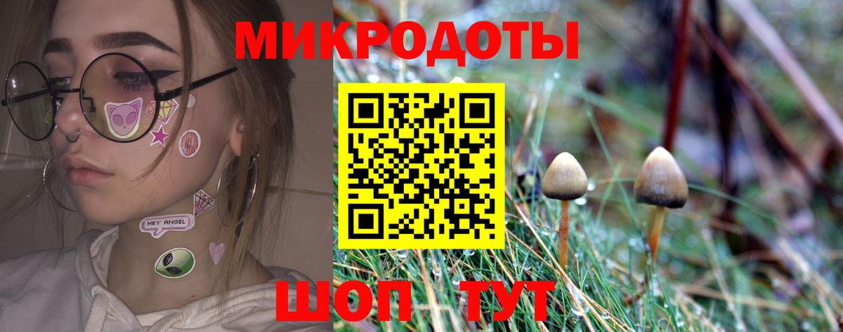 Псилоцибиновые грибы мухоморы Острогожск